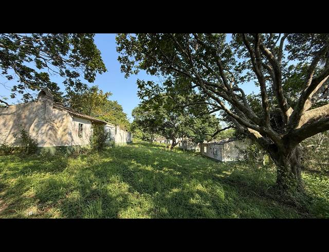 104,000M² FARM FOR SALE IN BALLITO RURAL
